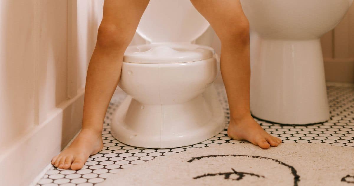 Toddler potty training
